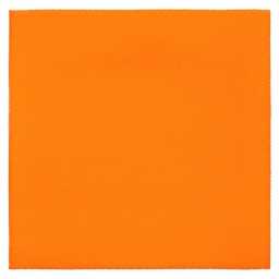 Лейбл тканевый Epsilon, L, оранжевый неон