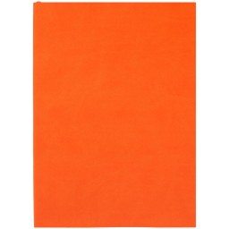 Ежедневник Flat Light, недатированный, оранжевый
