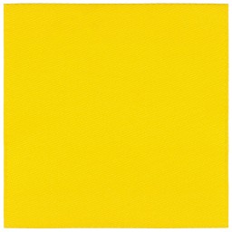 Лейбл тканевый Epsilon, L, желтый