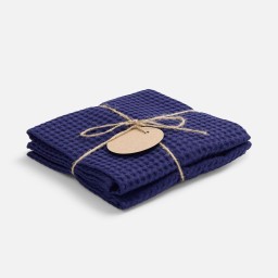 Набор кухонных полотенец Good Wipe, синий