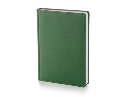 Ежедневник А5 датированный «Leader» 2026, зеленый