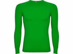 Футболка "Prime" мужская с длинным рукавом, папоротниковый