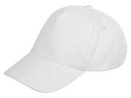 Бейсболка «Florida 350» 5-панельная, белый (P)