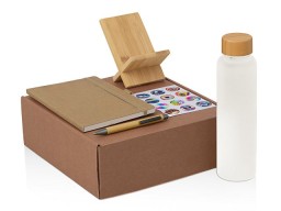 Подарочный набор с бутылкой для воды. блокнотом, ручкой и подставкой для телефона, бежевый