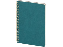 Бизнес тетрадь на гребне А5 "Pragmatic", 60 листов в клетку, карибский синий