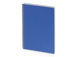 Бизнес тетрадь на гребне А4 "Pragmatic", 100 листов в клетку, синий